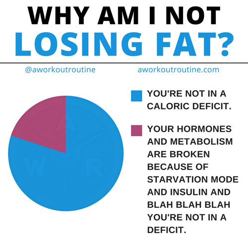 Why Am I Not Losing Fat?