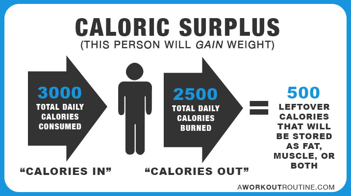 Caloric Surplus: This person will gain weight.